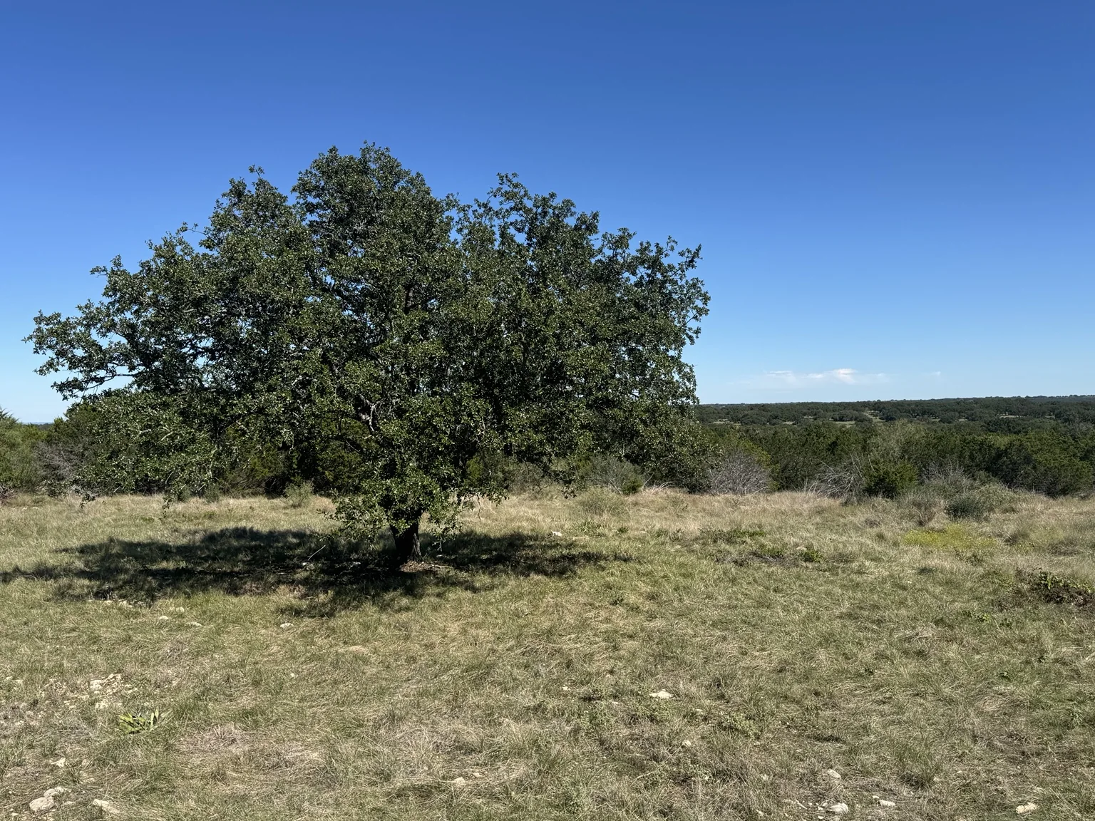 Distant wooded hills from Lot 1 at Sawmill Ridge