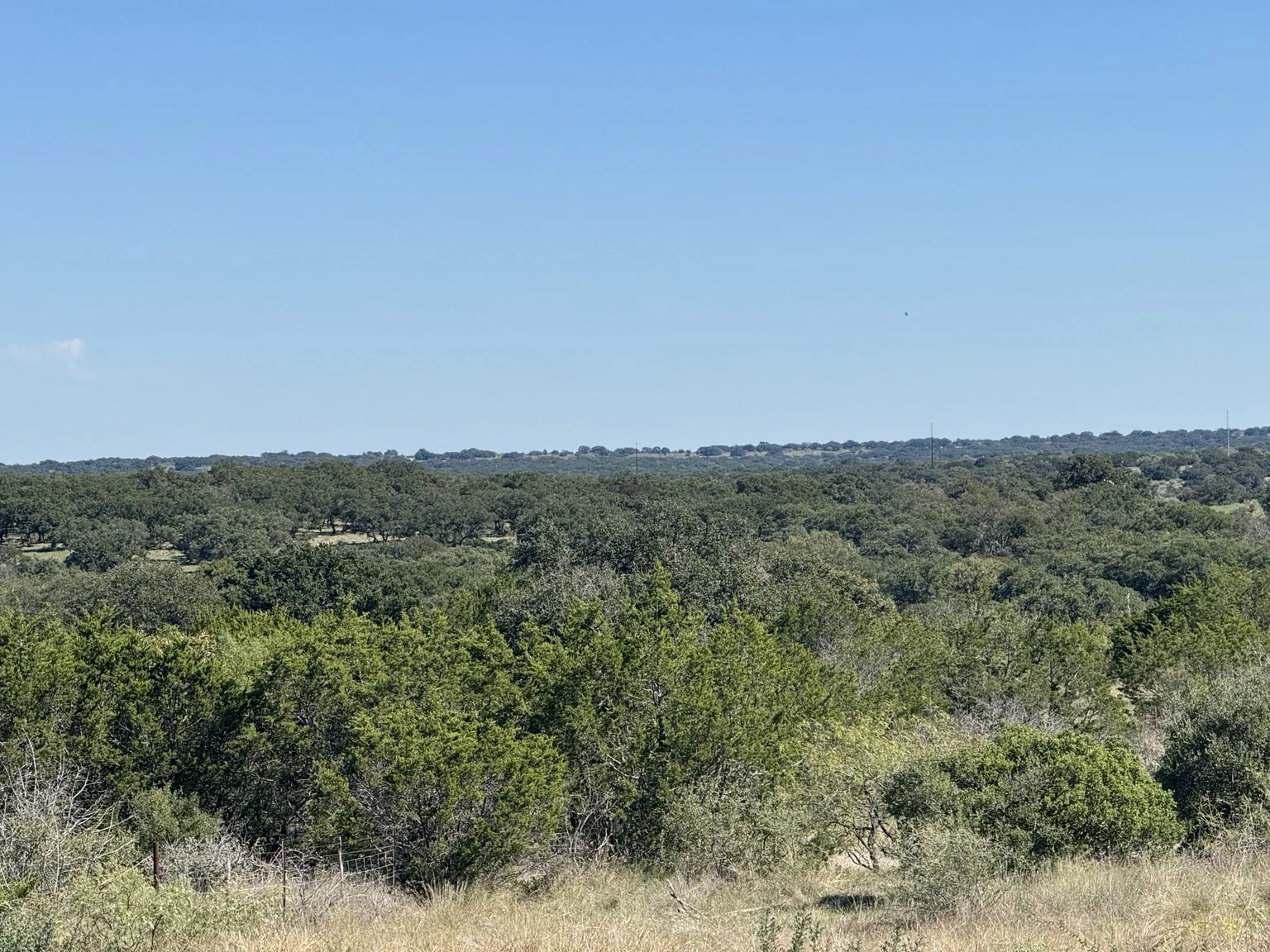 Sawmill Ridge Lot 1 — Mature Oak & Open Meadow0